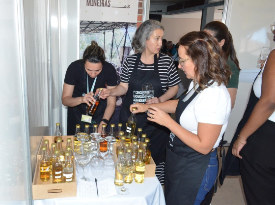 concurso cachaça