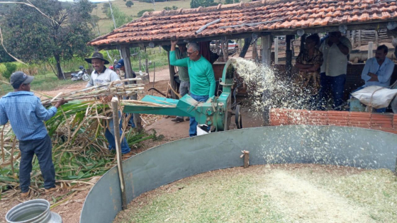 Produtores rurais trabalhando na produção de silagem 