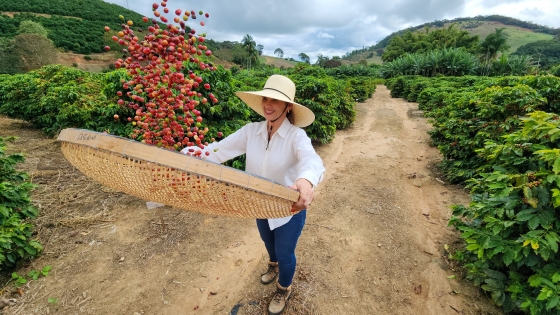 produtora de café jogando café para o alto com plantação de café ao fundo