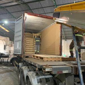 Foto mostra lote de café sendo preparado para exportação