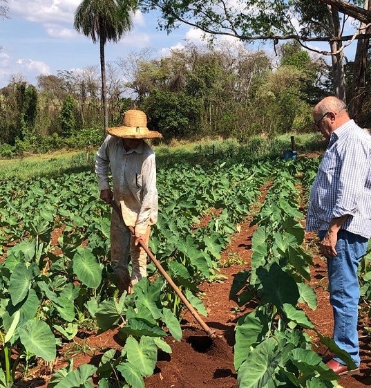 Extensionista orienta produtor que trabalha com enxada em uma horta