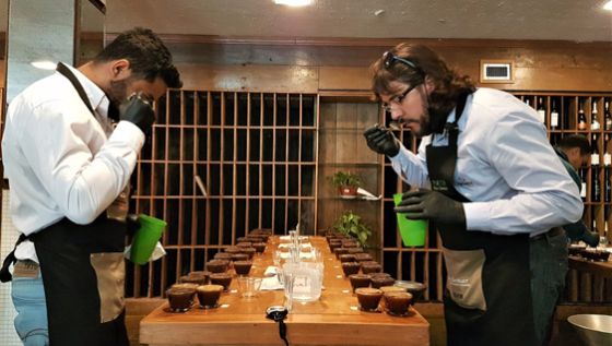 julgamento café