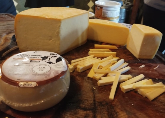 Imagem mostra um queijo inteiro e alguns pedaços picados sobre uma mesa