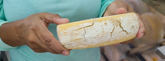 Foto mostra Queijo Minas Artesanal fora do padrão comercial, que é usado na fabricação de requeijão