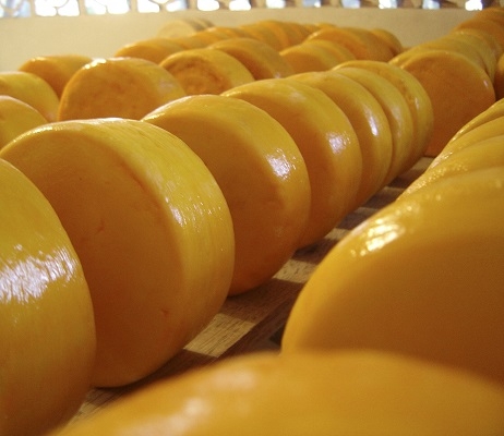 Queijo Minas Artesanal