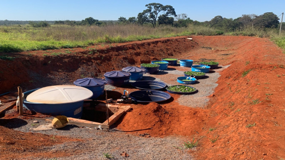 Sistema com várias caixas d'águas enterradas no chão que estão interligadas.