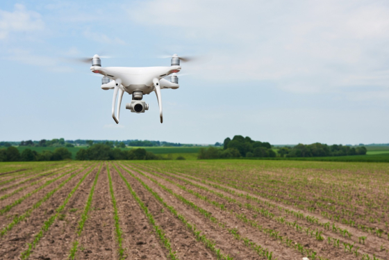 Imagem de um drone sobre uma plantação