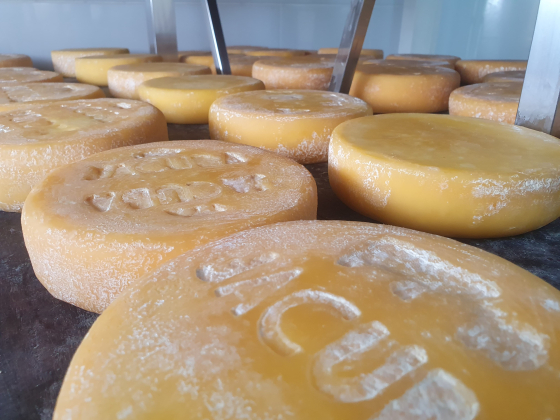 Imagem de queijo Minas