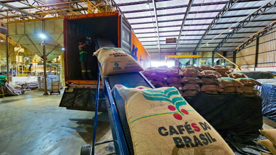 Sacas de café para exportação