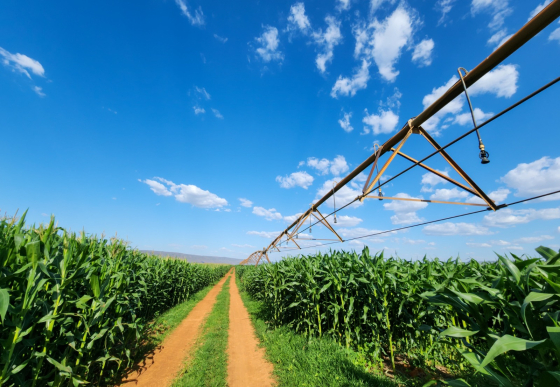 Pivô de irrigação