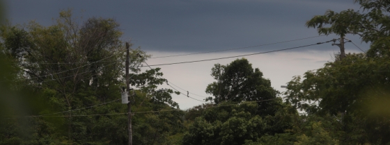 Previsão de chuva
