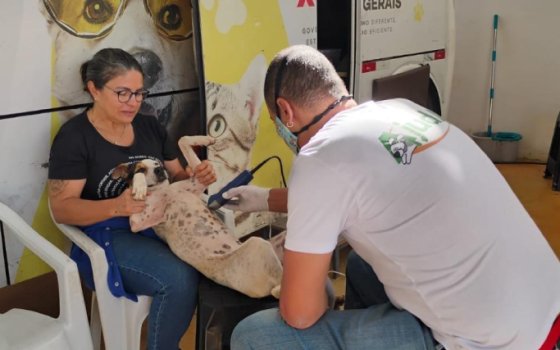 Projeto de Manejo Populacional Ético de Animais Domésticos