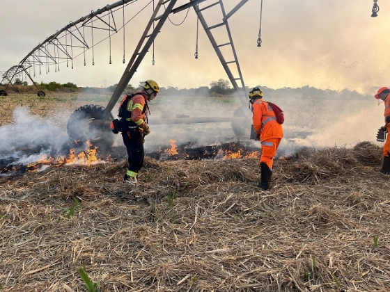 Ação é voltada para proteger a cultura agrícola, a pecuária e o cultivo de florestas dos incêndios