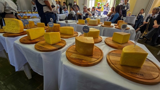 A novidade neste ano é a criação da categoria Queijo Minas Artesanal Casca Florida Natural 
