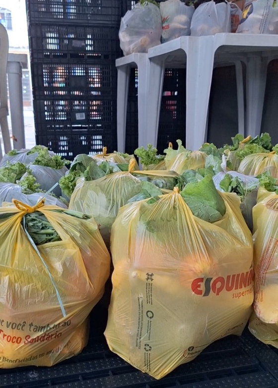 os alimentos são distribuídos para 10 instituições sociais e 6 famílias cadastradas no CRAS do município
