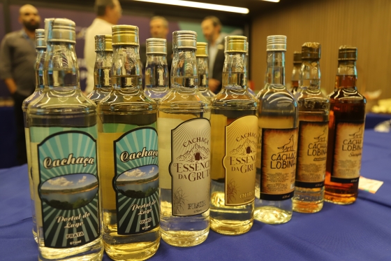 A missão inclui benchmarking de mercado, capacitações e rodadas de negócios 