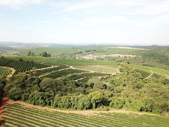 O livro também destaca o papel das instituições que atuam na geração e transferência de conhecimento
