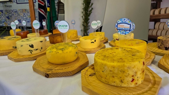  Queijos autorais são aqueles que tem algum elemento diferente ou inovador no seu processo de fabricação