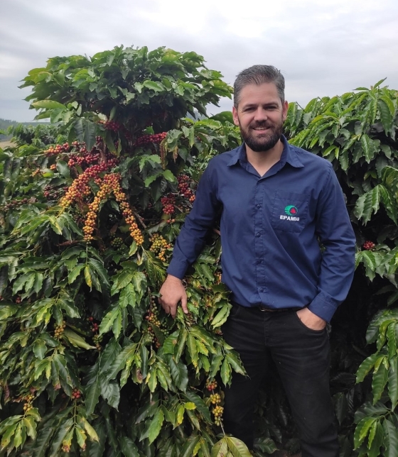 Pesquisador da Epamig Denis Nadaleti junto à variedade de café premiada