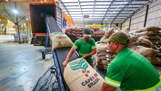 saca de café sendo colocada no caminhão