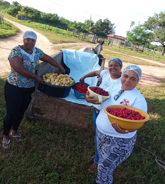 Após obter o SIF, a Unidade de Processamento de Polpa de Frutas do Cerrado, de Ubaí, está ampliando o projeto para atender os mercados institucionais