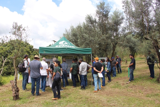 Estações de campo - Azeitech 2023