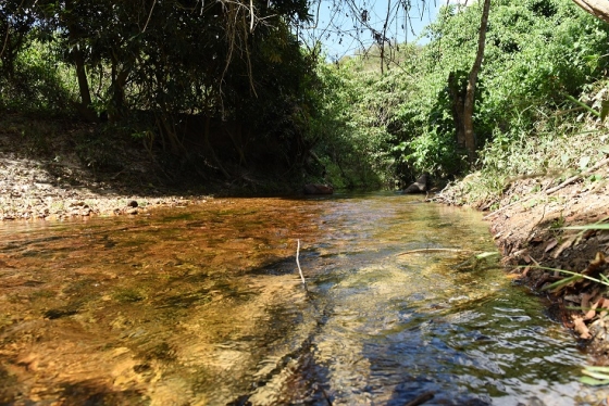 O evento tem o objetivo de promover práticas sustentáveis no meio rural