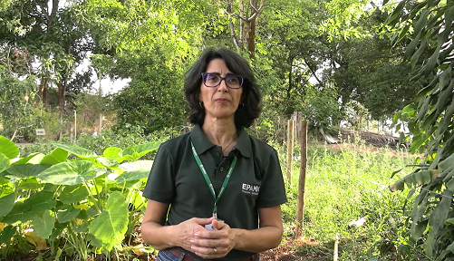 Foto mostra pesquisadora da Epamig e coordenadora do evento, Marinalva Woods