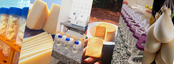 Foto: Arquivo Epamig