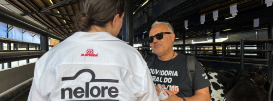 A OGE/MG divulgou os canais de atendimento para recebimento de manifestações