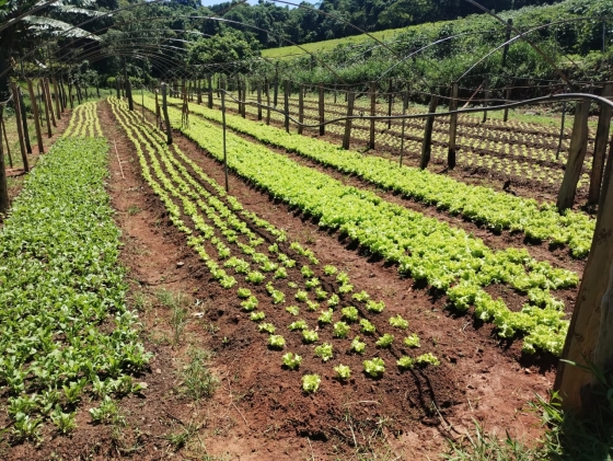 O sucesso do trabalho é fruto de um trabalho integrado 