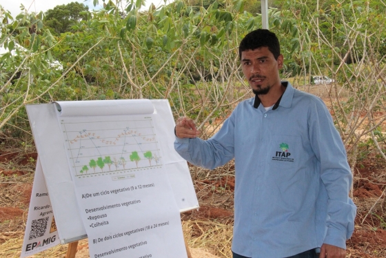 Os participantes acompanharam quatro estações de campo voltadas para o sistema de produção da mandioca