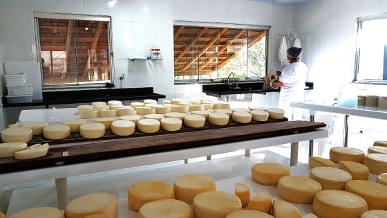 A regularização garante segurança e qualidade e impulsiona o desenvolvimento local
