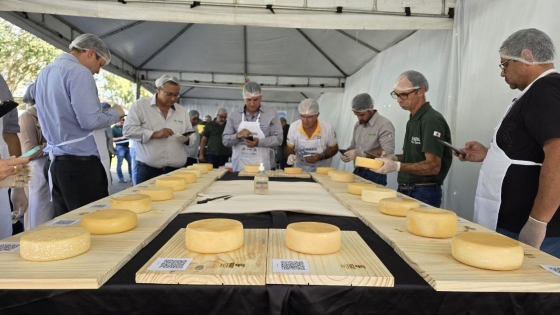 Vinte e nove produtores disputaram a preferência dos jurados