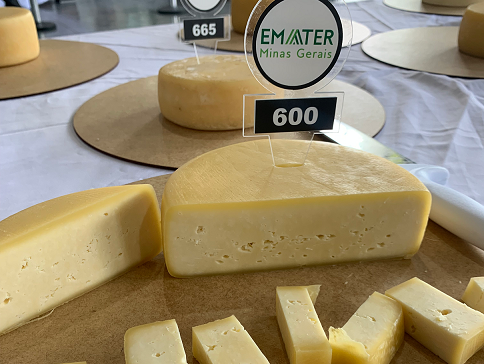 Os queijos artesanais expressam o terroir e a tradição da região em que é produzido