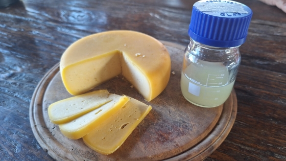 O evento vai valorizar o papel das universidades e centros de pesquisa na qualificação da produção dos queijos artesanais de Minas 