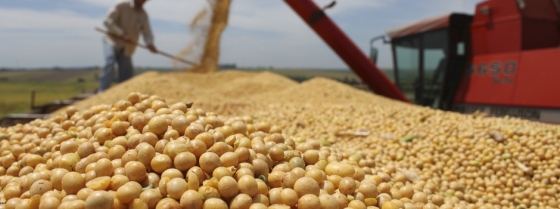  O setor agropecuário apresentou um forte incremento, de 8,3%, em relação ao trimestre imediatamente anterior