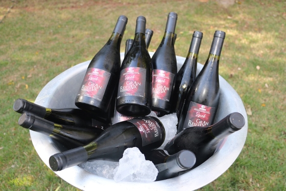 A estimativa é de que o estado produza cerca de 5 milhões de litros de vinhos finos, espumantes e de mesa neste ano