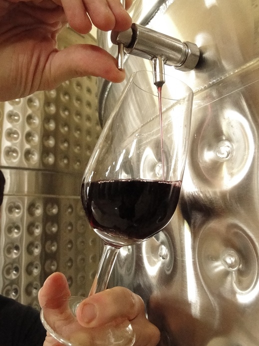 A proposta é levar informações sobre vigor, produtividade, qualidade da uva e do vinho de cultivares francesas e italianas