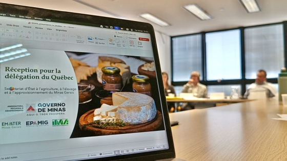 Foto: Maria Teresa Leal