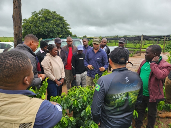 Pesquisadores da Epamig orientam moçambicanos sobre cafeicultura sustentável