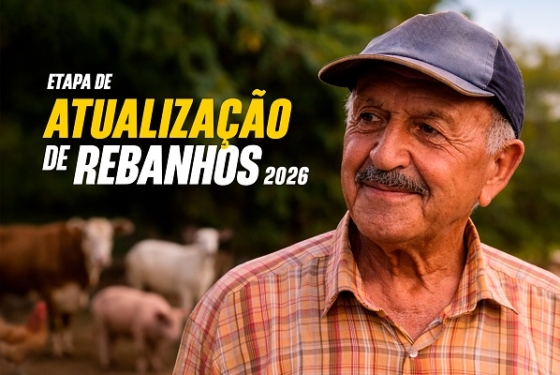 Durante a campanha, os produtores rurais devem informar os dados de todos os animais das propriedades