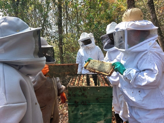 Divulgação Emater-MG