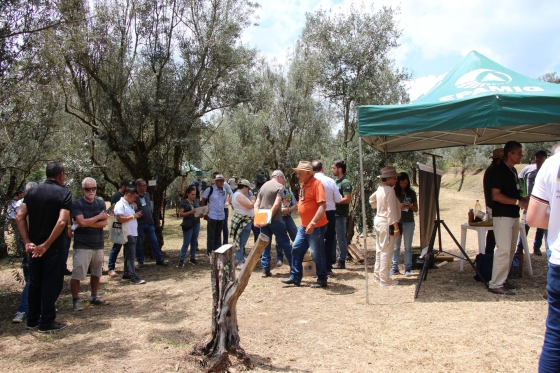 Produtores e pesquisadores na Azeitech