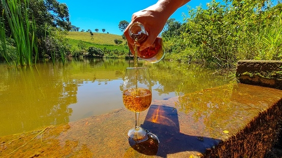 Minas Gerais lidera com folga o ranking nacional de estabelecimentos produtores
