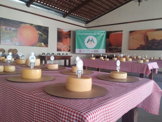 O evento do queijo será realizado, nesta sexta-feira (1º de maio), em Itanhandu