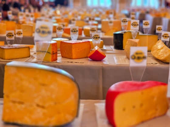 Queijos expostos na Expoqueijo, em Araxá