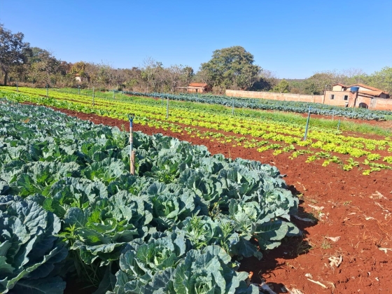 Divulgação Emater-MG