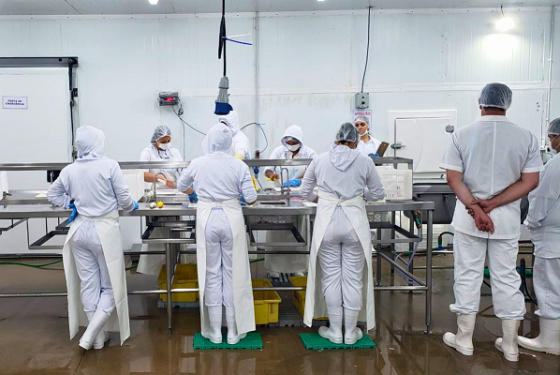 Controle da produção e critérios técnicos garantem qualidade, procedência e equilíbrio nas relações de mercado