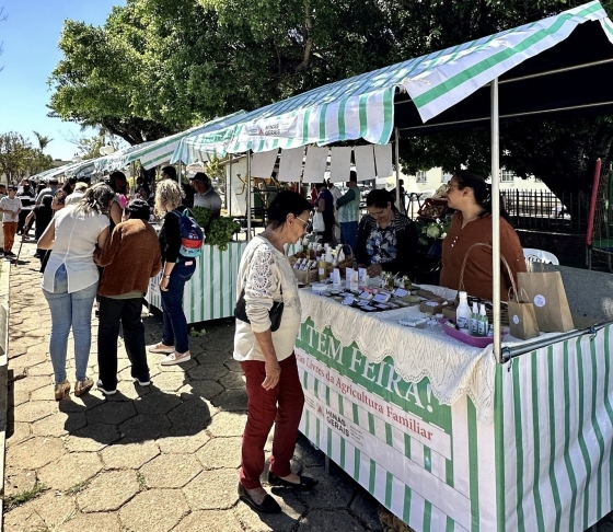 Consumidores na barraca de feira livre